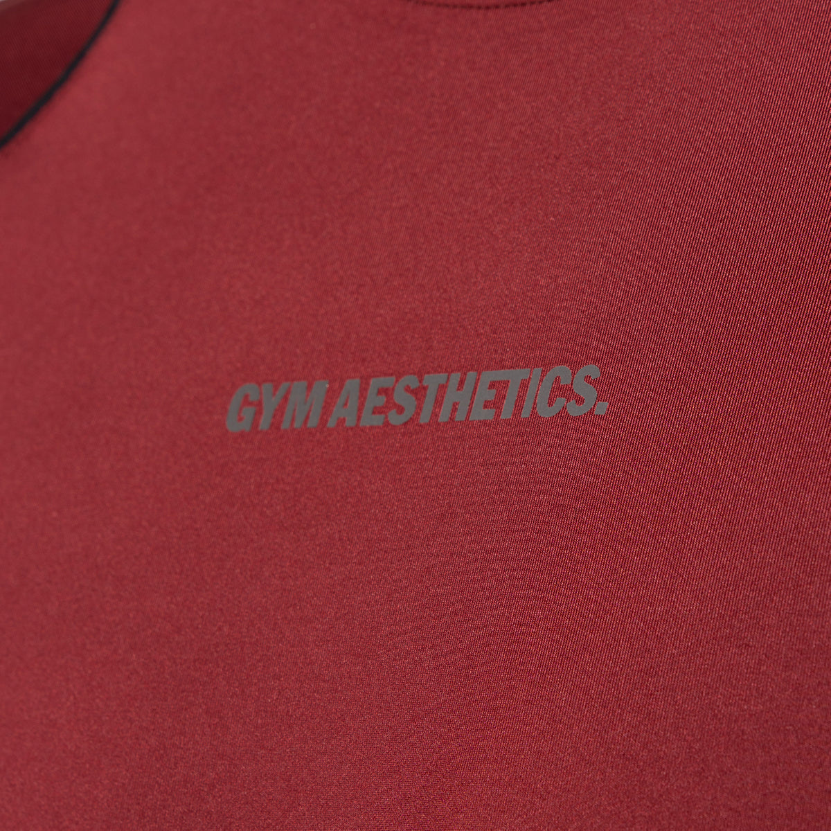 Activewear Performance T Shirt breathable mesh blocking for Men