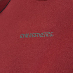Image of Activewear Performance T Shirt breathable mesh blocking for Men